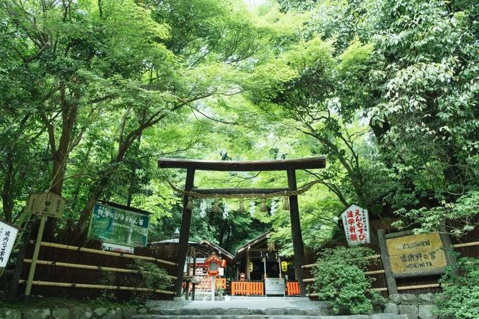 اليابان للسفر المستقل