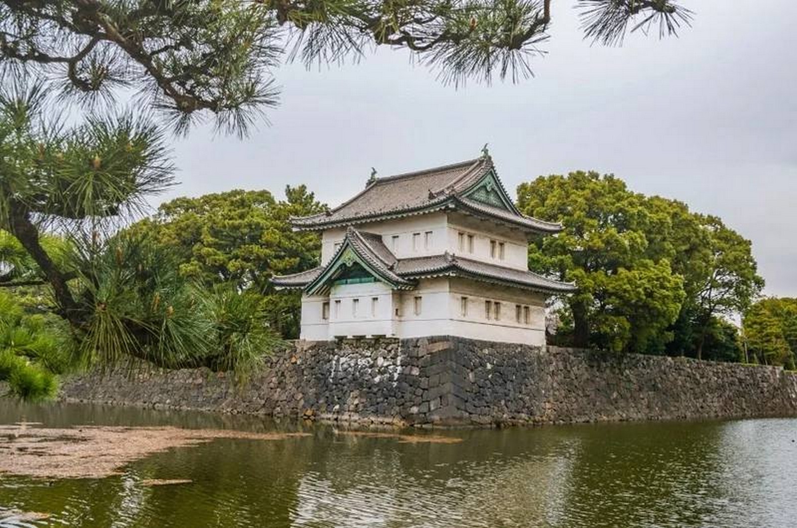 شهر العسل في اليابان