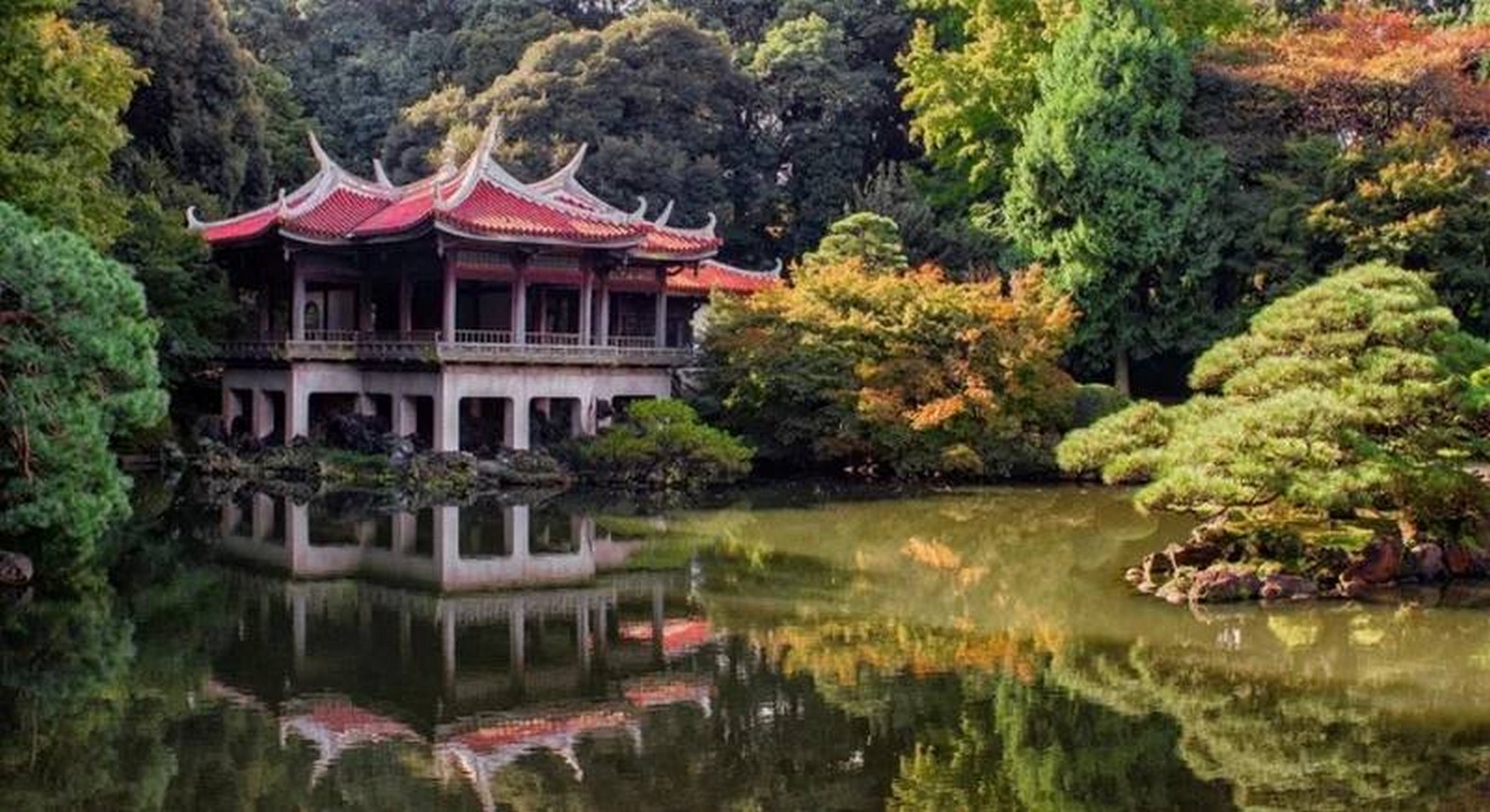 شهر العسل في اليابان