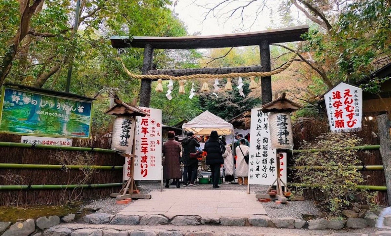 غابة الخيزران في أراشيياما