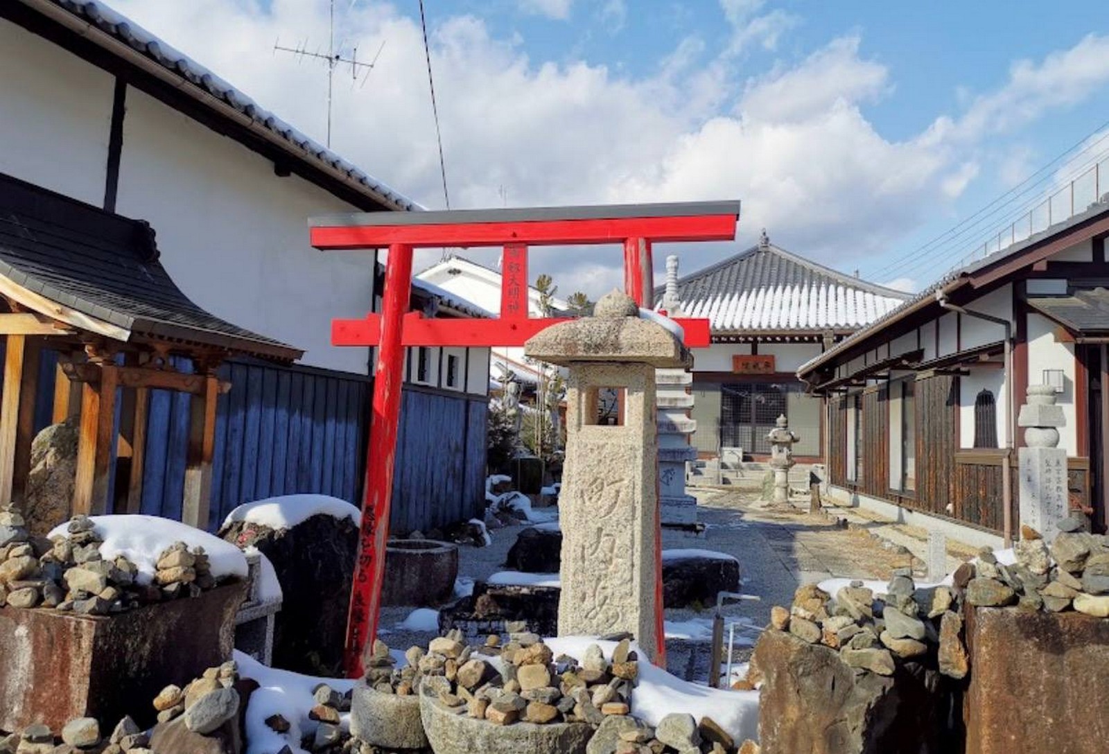 غابة الخيزران في أراشيياما