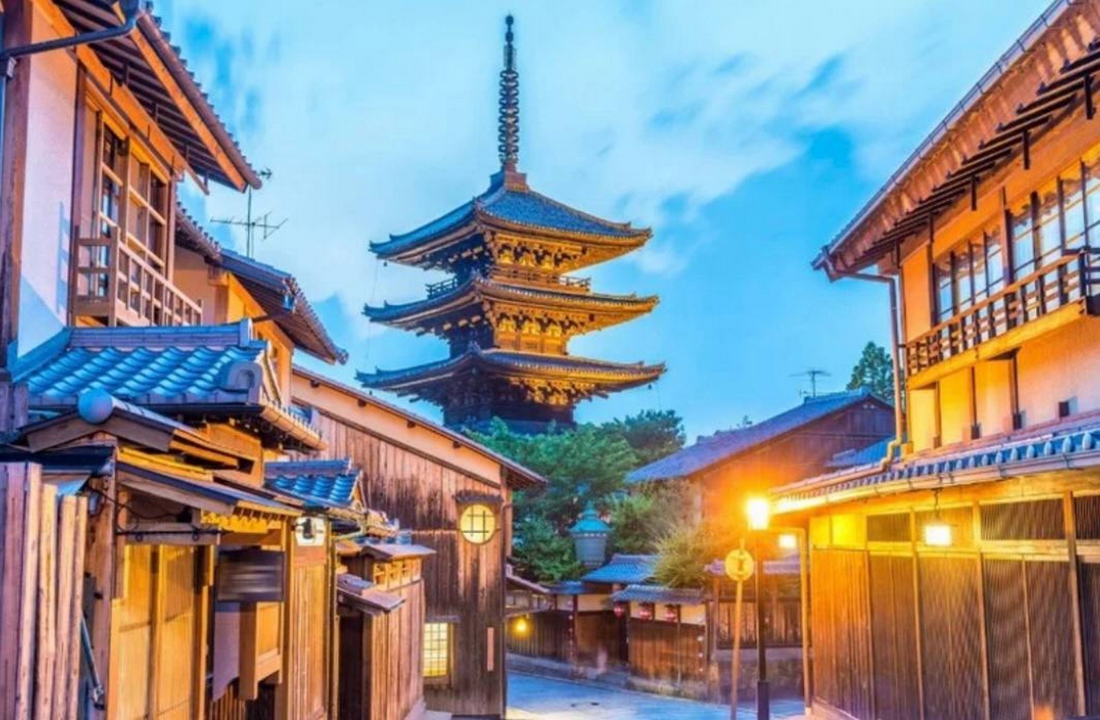 مارسوت من اليابان