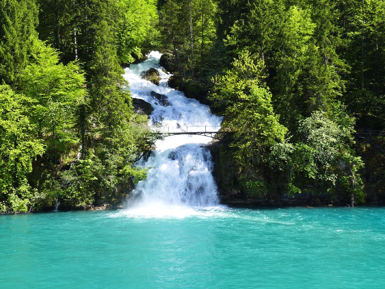 بحيرة برينز