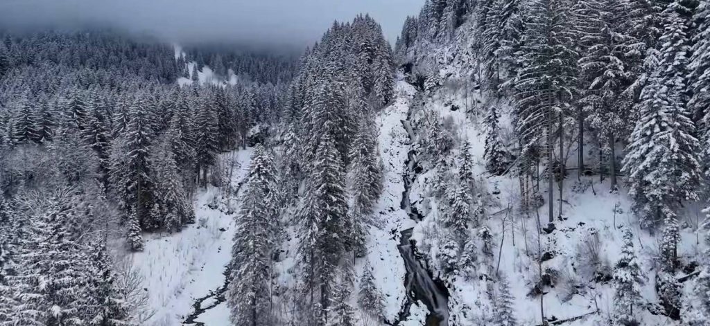 Switzerland in January