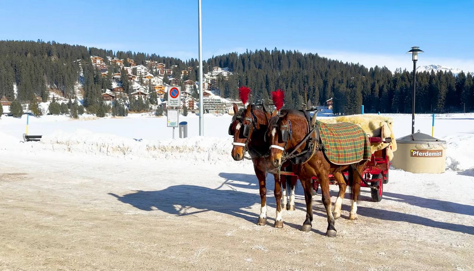 Switzerland in January