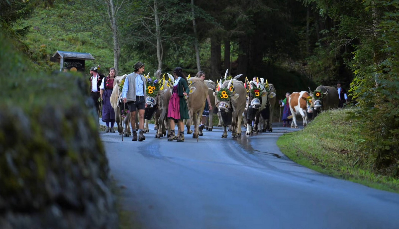 שוויץ באוגוסט