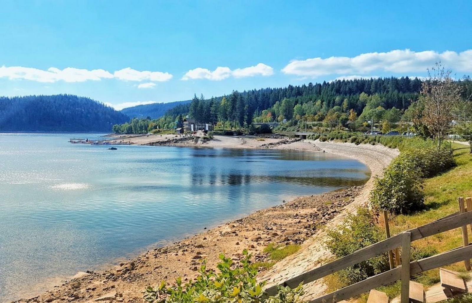 שוויץ והיער השחור