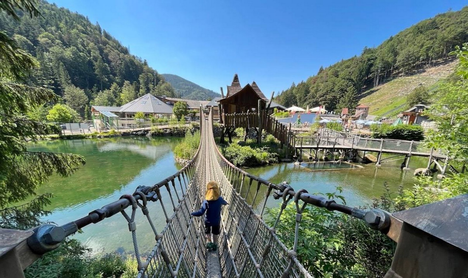 שוויץ והיער השחור