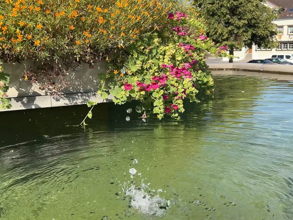 أبينزيل، سويسرا