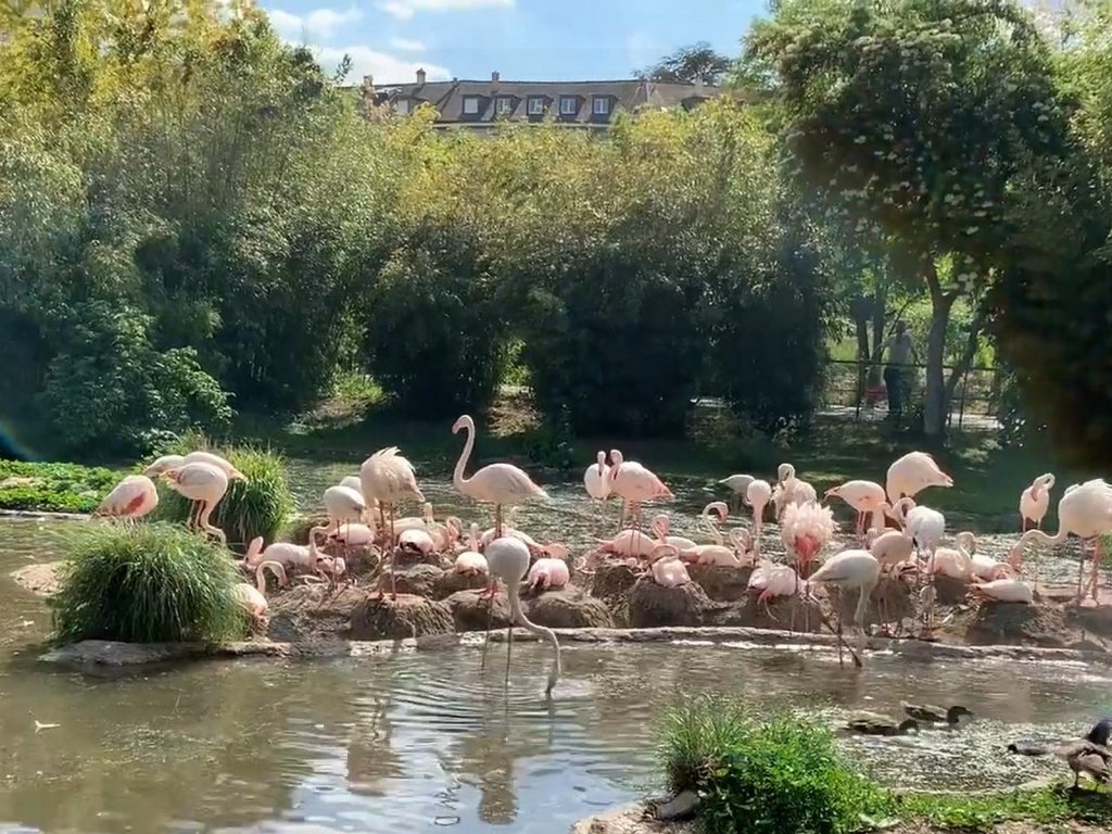 بازل مع الأطفال