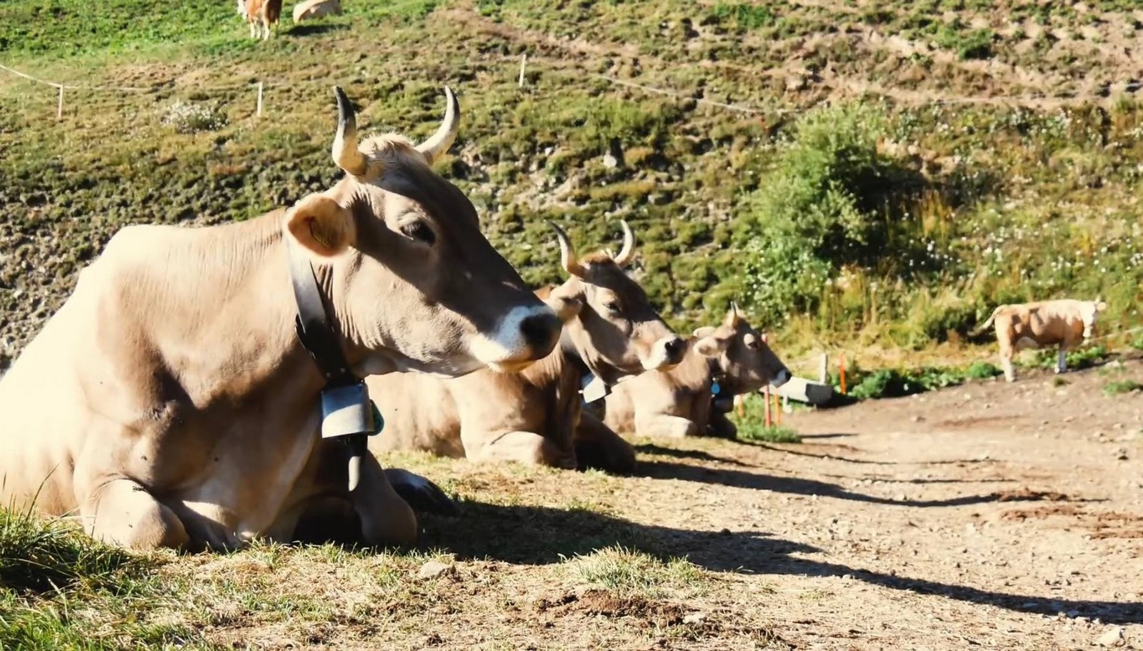 رحلات الطبيعة في سويسرا