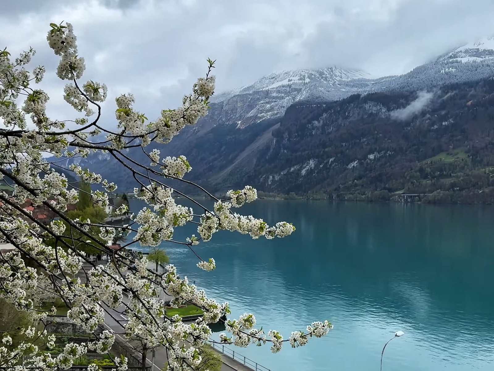 سويسرا في أبريل