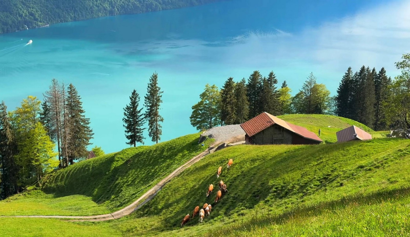 سويسرا في أغسطس