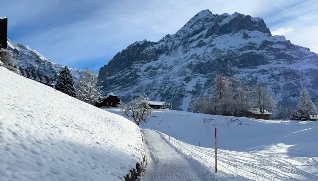سويسرا في فبراير