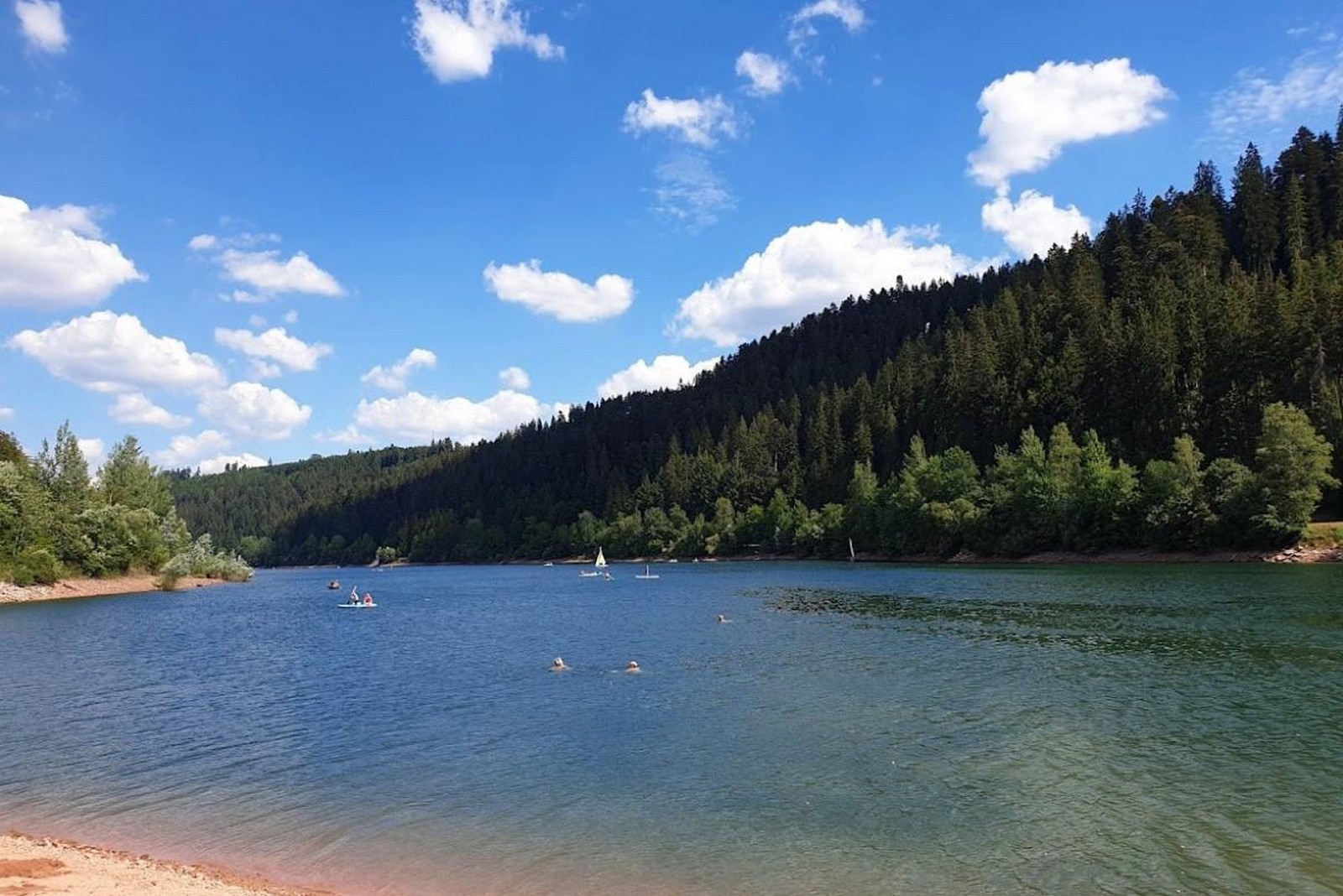 سويسرا والغابة السوداء