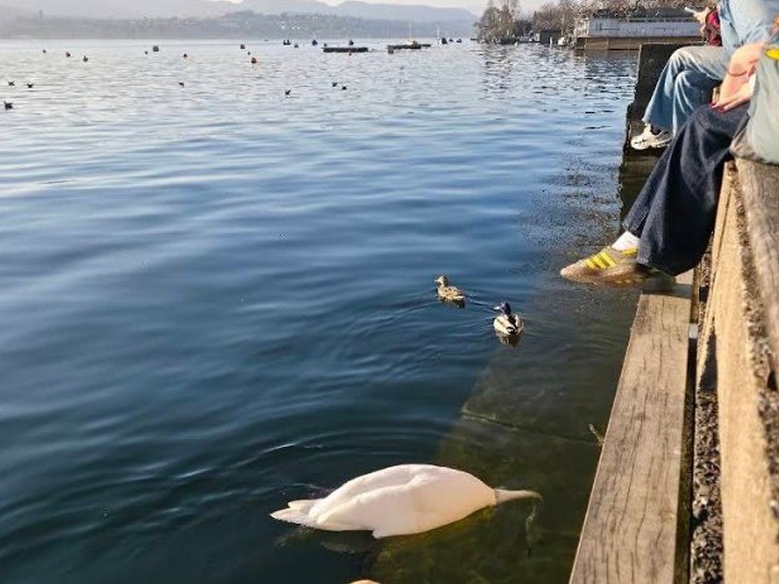 3-Day Switzerland Itinerary