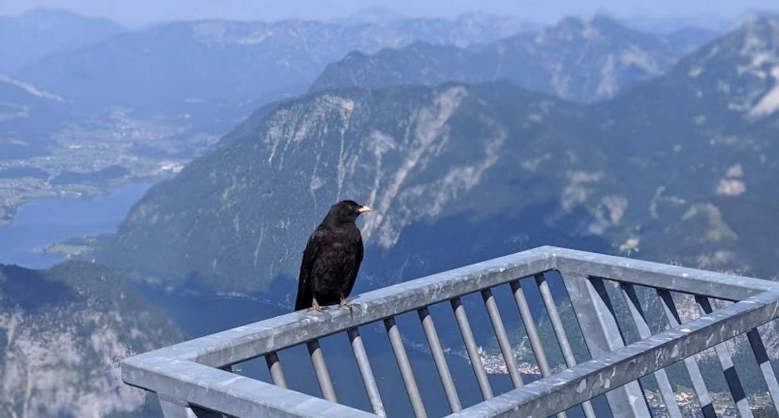 Five Fingers, Austria