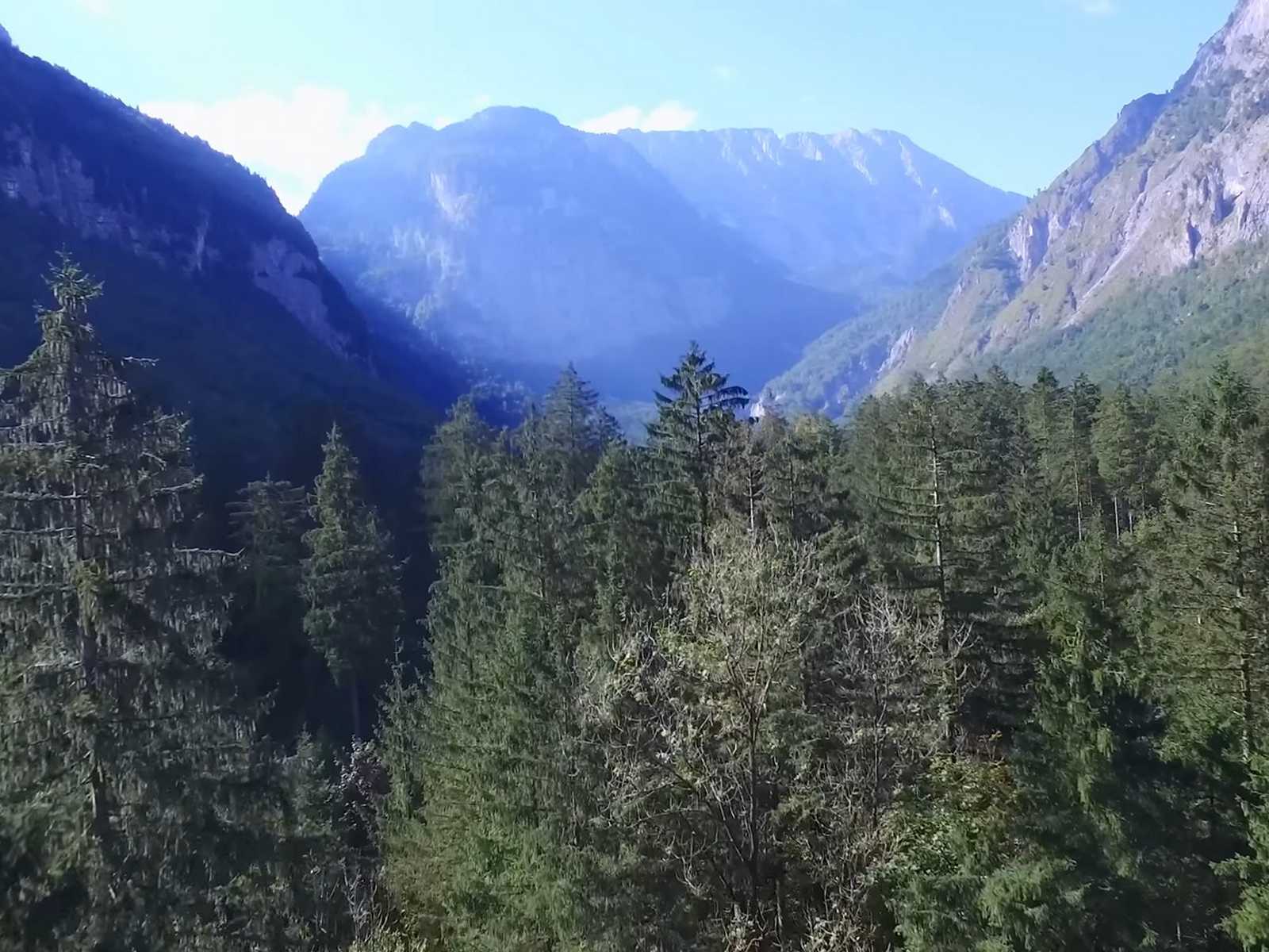 Gollinger Wasserfall