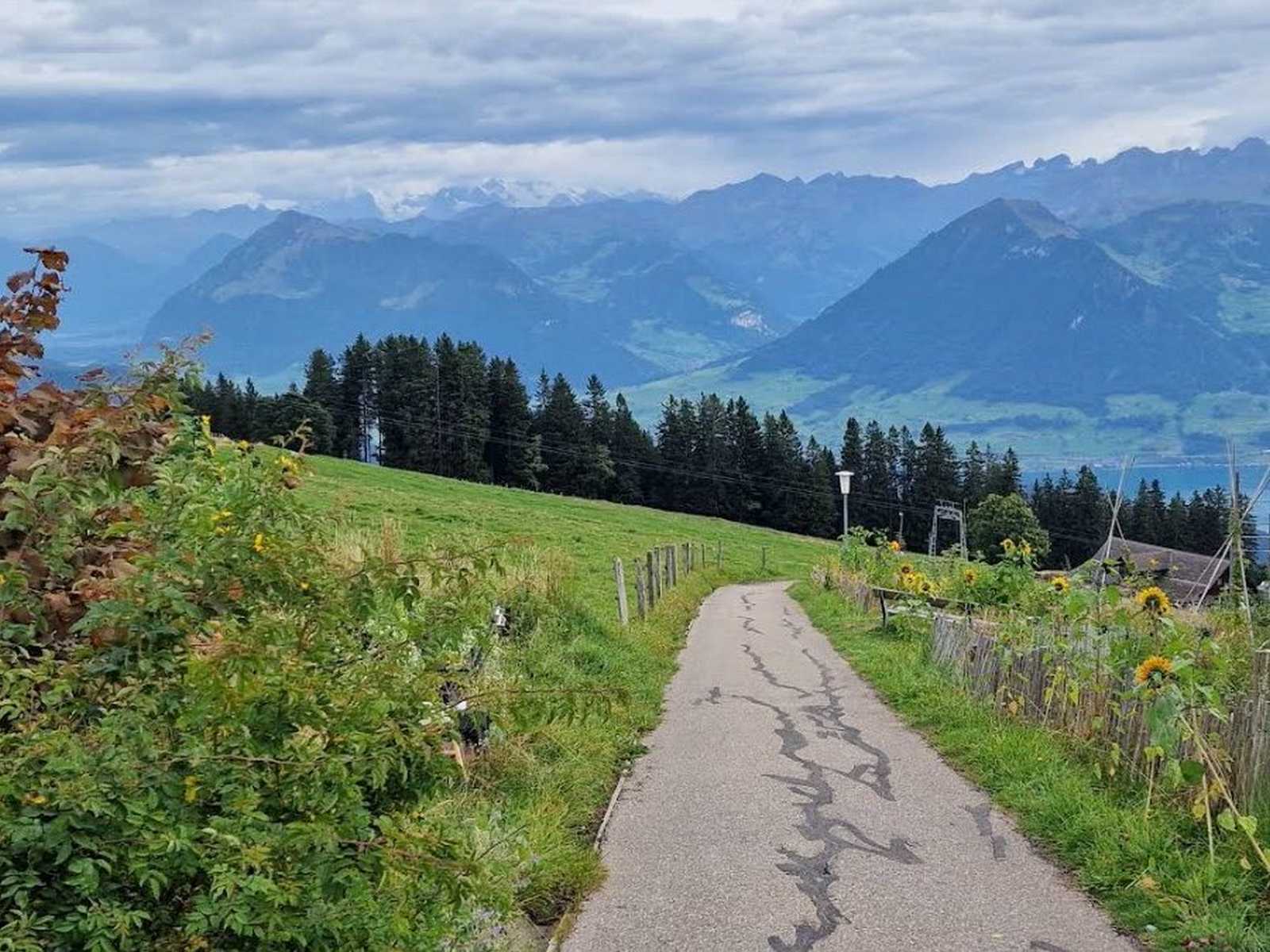 מסלול לשוויץ ל5 ימים