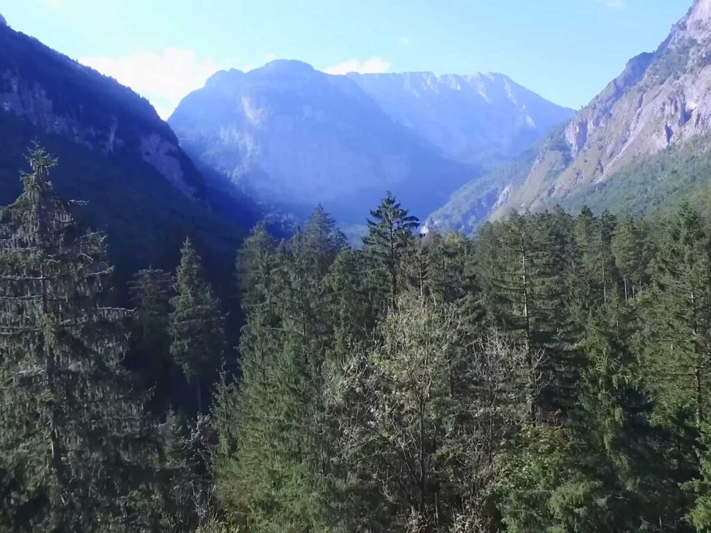 מפל גולינגר