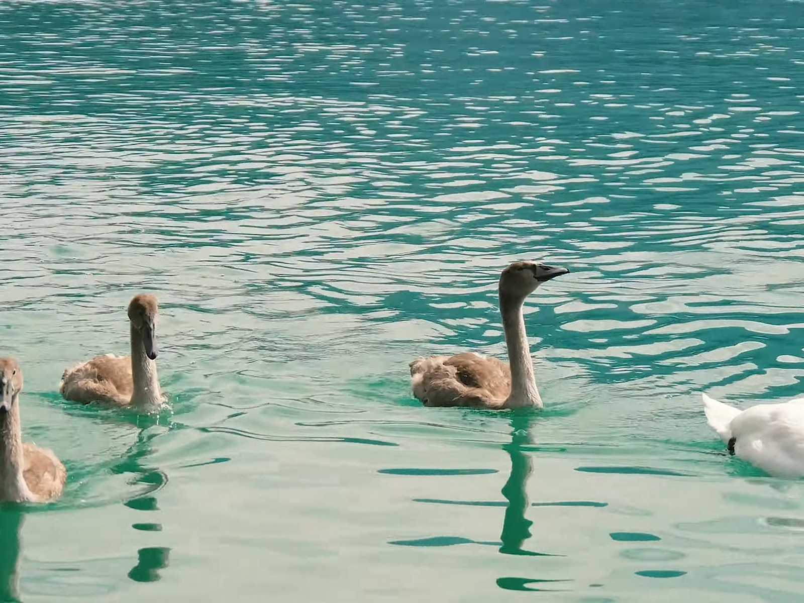 بحيرة موندسي