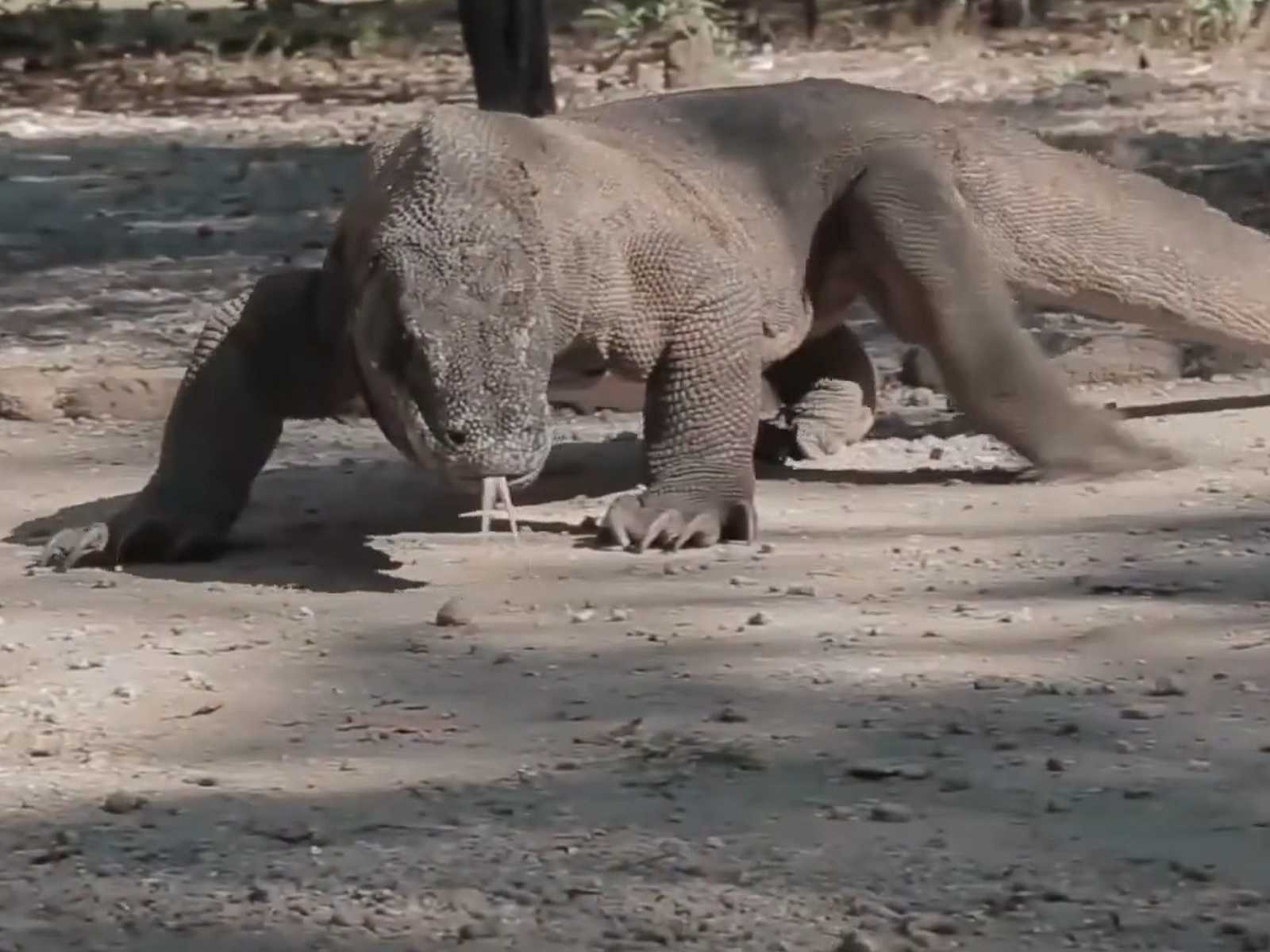 איטליה עם ילדים