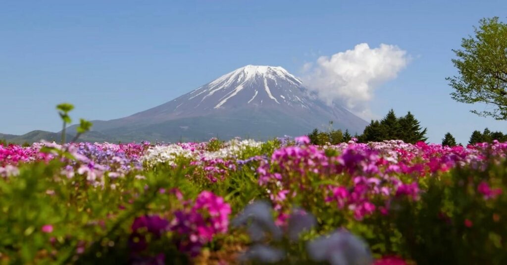 Mount Fuji