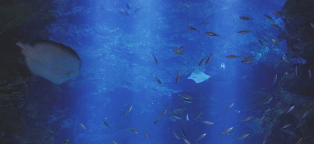 Kyoto Aquarium