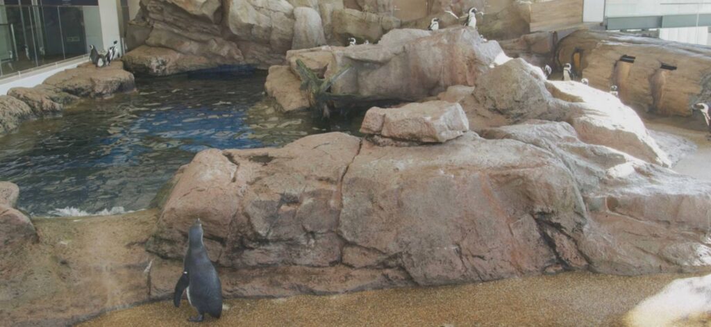 Kyoto Aquarium